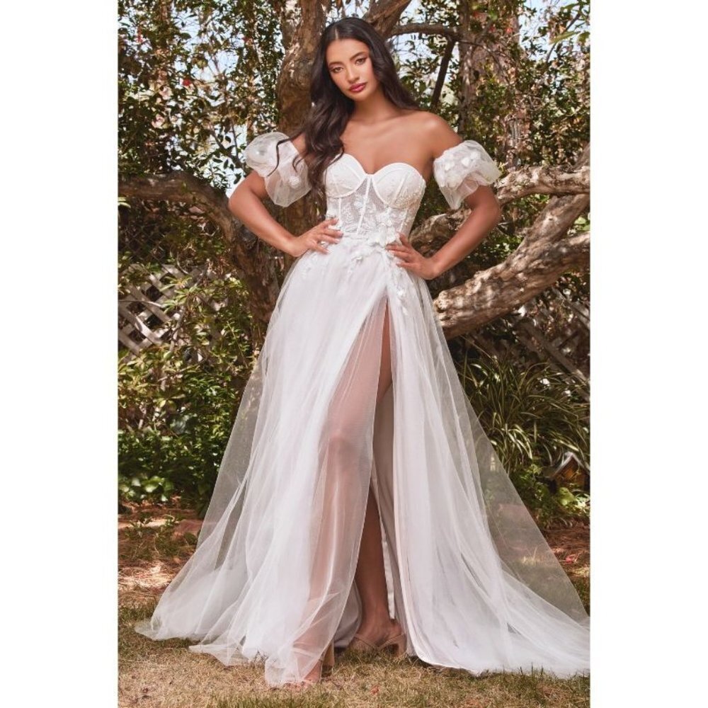 Cinderella STRAPLESS FLORAL BALL GOWN Multi Sizes CB080W